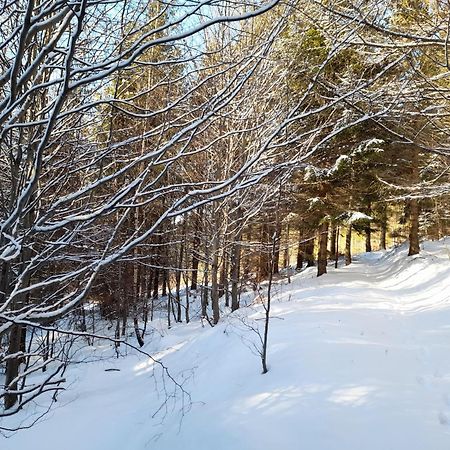 Ubytovani Na Namesti Nove Mesto pod Smrkem Bagian luar foto