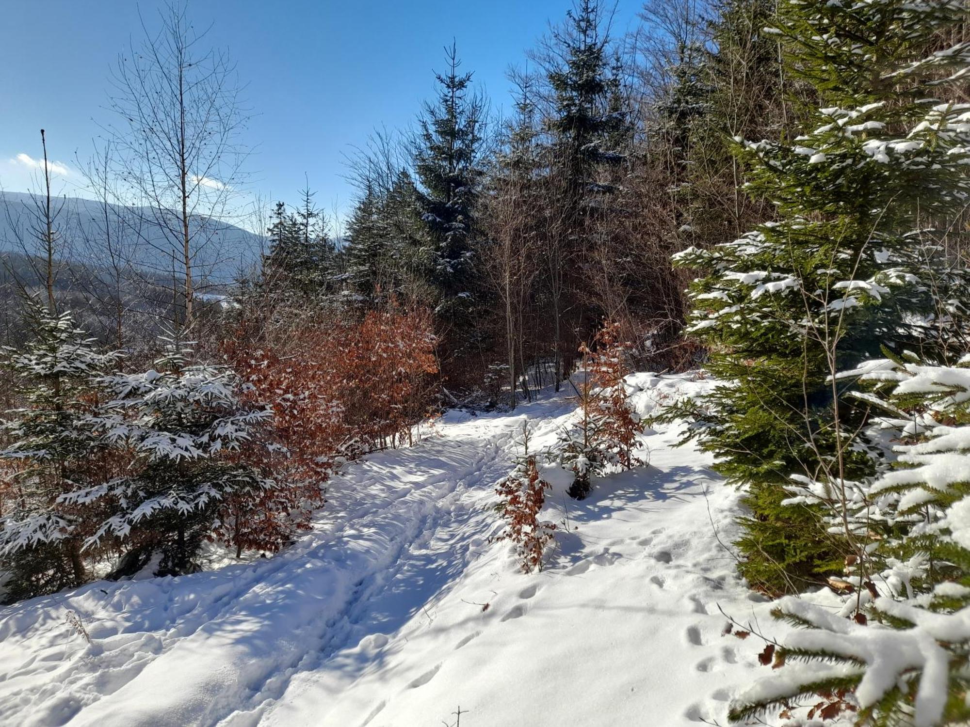 Ubytovani Na Namesti Nove Mesto pod Smrkem Bagian luar foto