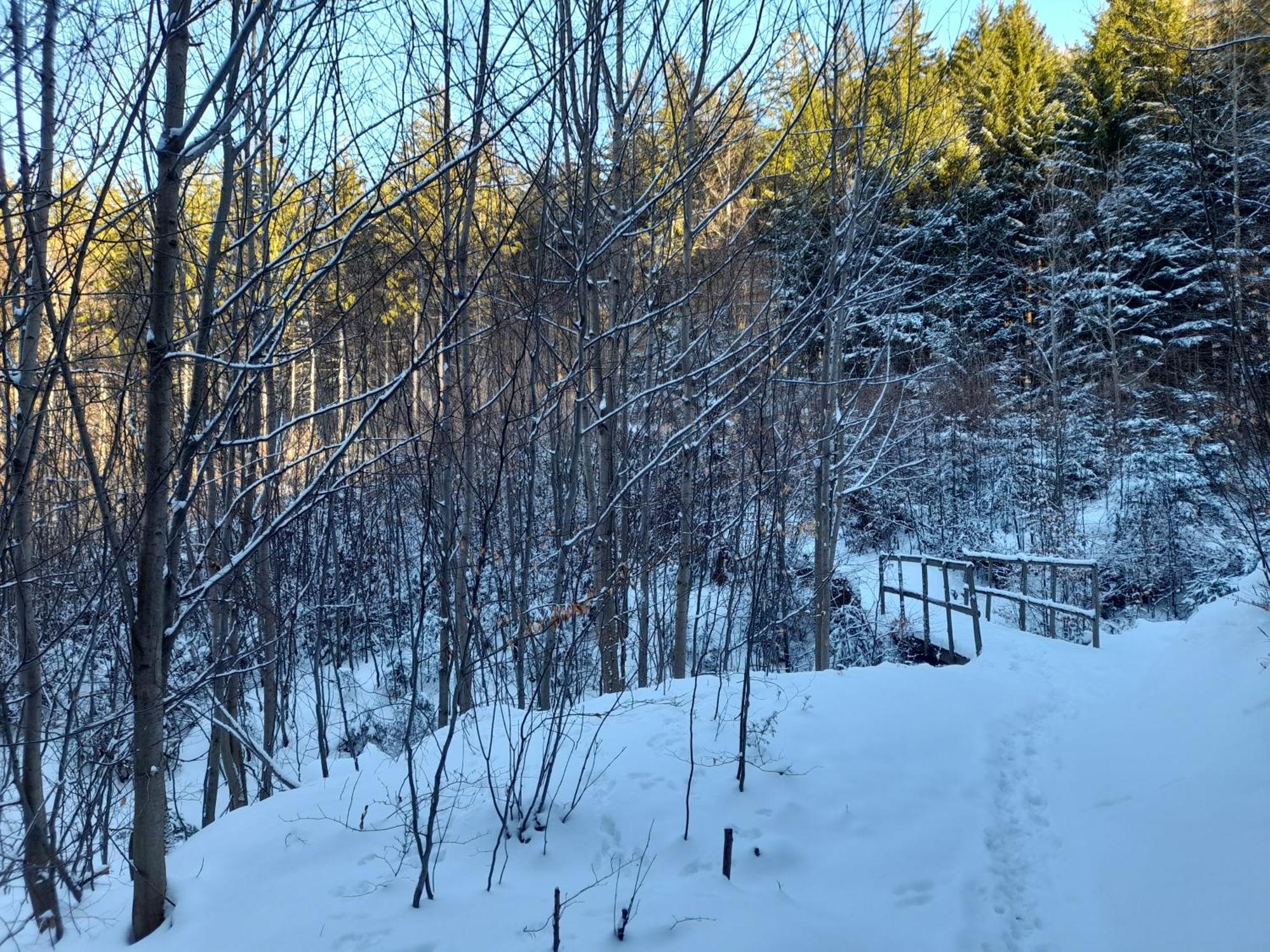 Ubytovani Na Namesti Nove Mesto pod Smrkem Bagian luar foto
